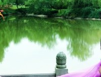 关于定格，想真陈月自一刻……的优美句子