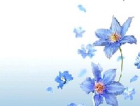  真爱 ，就别轻言放弃 