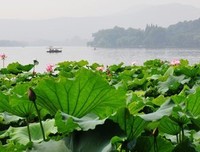 我愿永远 照耀 你这颗星