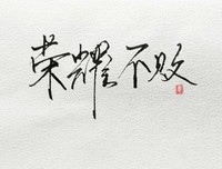 全职对第手经典的句子