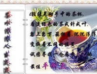 关于积德的语句