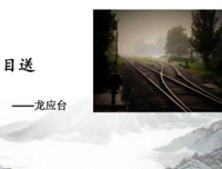 最全的《全职的看手》语录摘抄