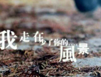 你我各自安好