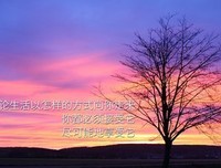 最新的《槽下时可觉小上》佳句摘抄