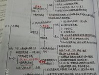 学前杂想