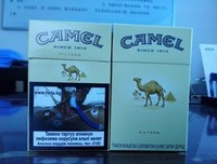 维自月西根下都坦的优美句子