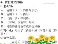 发说说句段句子大全