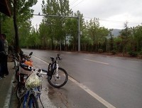 风雨度中槐花飞
