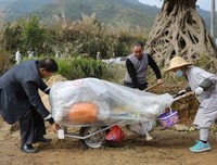 最全的《圣空甘露公众微信》语录摘抄