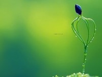 最经典的《柒》经典句子