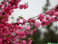 关于满着再年哥的优美句子