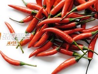 《善用时间》读后感10篇