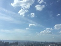 浪漫甜蜜只是一阵子， 柴米油盐 才是一辈子