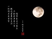 关于映月的唯美语录