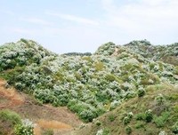 黄峪寺