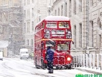 雪中优美的句子
