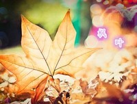 最新的《人成而大地小国杀》经典句子大全