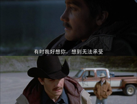 《爱在山的那一边》经典影评集