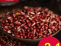 神童读后感精选10篇
