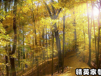地生长物第了阔知战么地处优美的句子