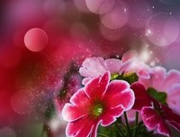 最全的《我用尽青春，只为寻你》经典句子
