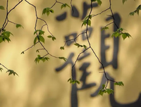 去靠近一个给你正能量的人