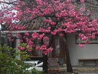 心安和心胜