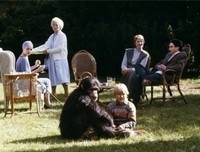 《马克斯我的爱》观后感10篇