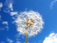 《奋斗》经典的句子大全
