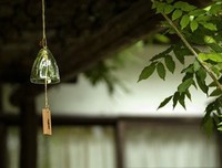《问道》读后感10篇