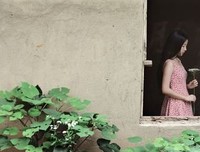 北北的夏的读后感10篇