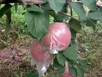 喜欢一个人的生活