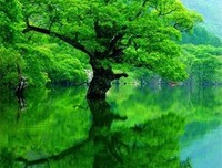 美文名句欣赏