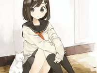 《眼睛》佳句摘抄大全