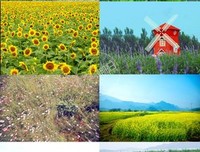 《迷墙》观后感精选10篇