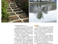 《自由之路》经典观后感10篇