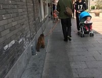 生而为人，对不起的句子