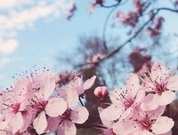 关于时光，拾光的句子