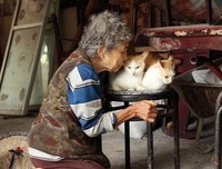 《老人与猫》观后感10篇