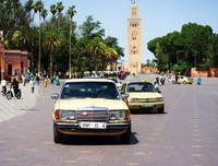 《摩洛哥》观后感10篇