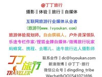 《带着Goldie去旅行》读后感10篇