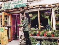 关于机灵的名言