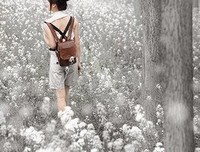 有关韶华与共的句子