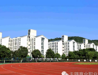 小乙和高考