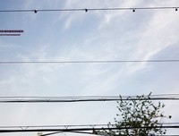 郁结