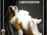《好男好女》观后感10篇