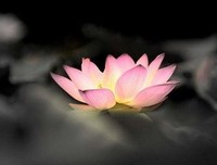 下么物日10句经典名句