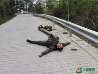 两脚踏翻尘世路，以天为被地为炉的句子