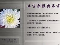 关于丘吉尔名言