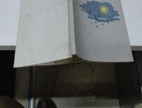 最全的《流萤集》佳句摘抄
